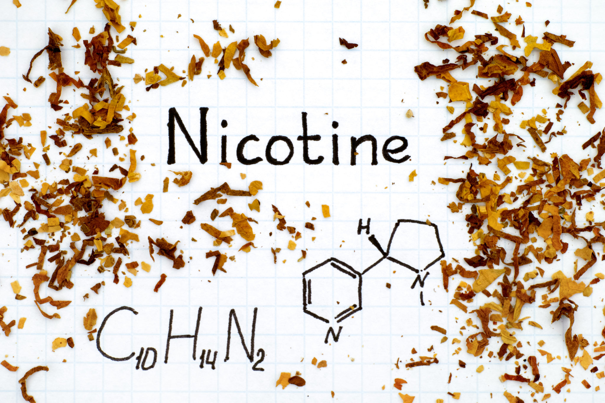 How Long Does Nicotine Stay in Your System (for life How Long Does Nicotine Stay in Your System (for life